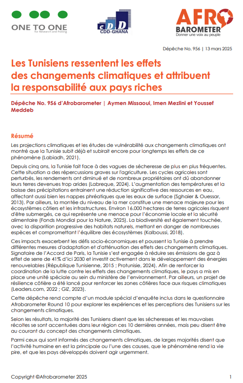 https://121polling.tn/wp-content/uploads/2026/02/afrobarometer-thumb2025.png